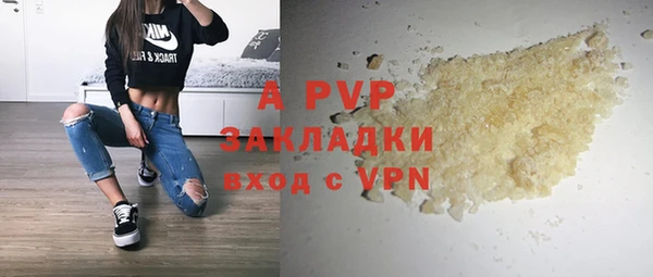 apvp Бородино