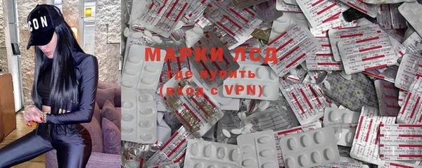 apvp Бородино