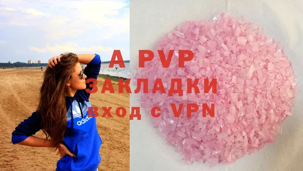сатива Бронницы