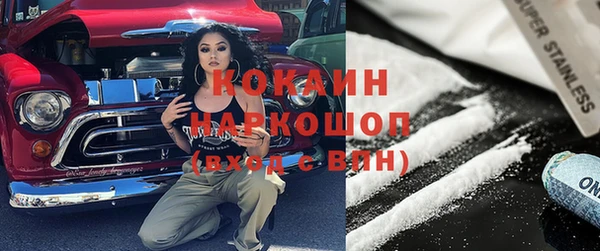 apvp Бородино