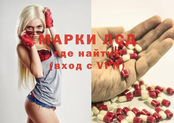 apvp Бородино