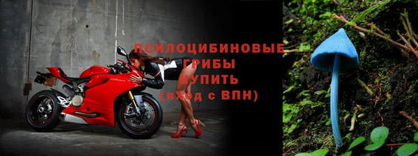 сатива Бронницы