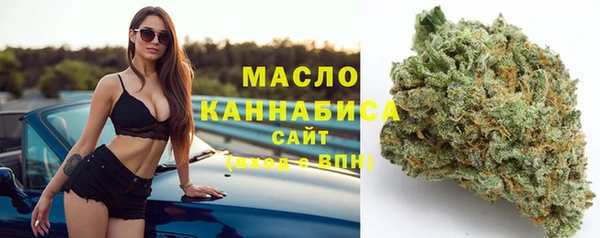 apvp Бородино