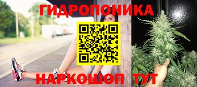 дурь Анжеро-Судженск