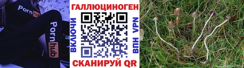 Купить где  Великие Луки  Галлюциногенные грибы MAGIC MUSHROOMS 