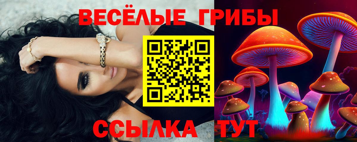 Галлюциногенные грибы прущие грибы Великие Луки