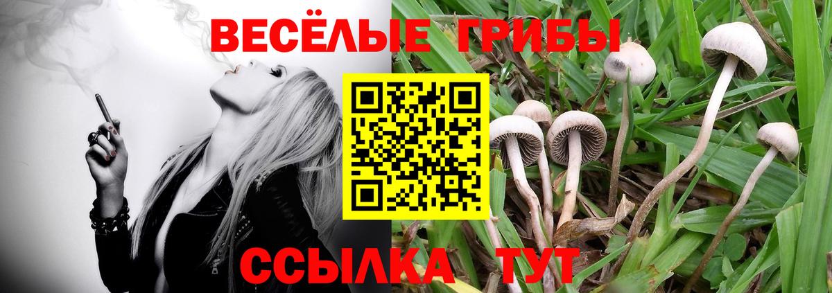 Галлюциногенные грибы Cubensis  Великие Луки 