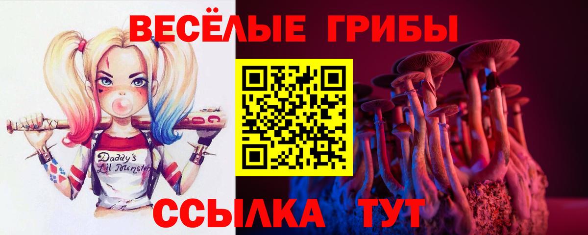 Псилоцибиновые грибы GOLDEN TEACHER  Вход с VPN  наркота  Великие Луки 